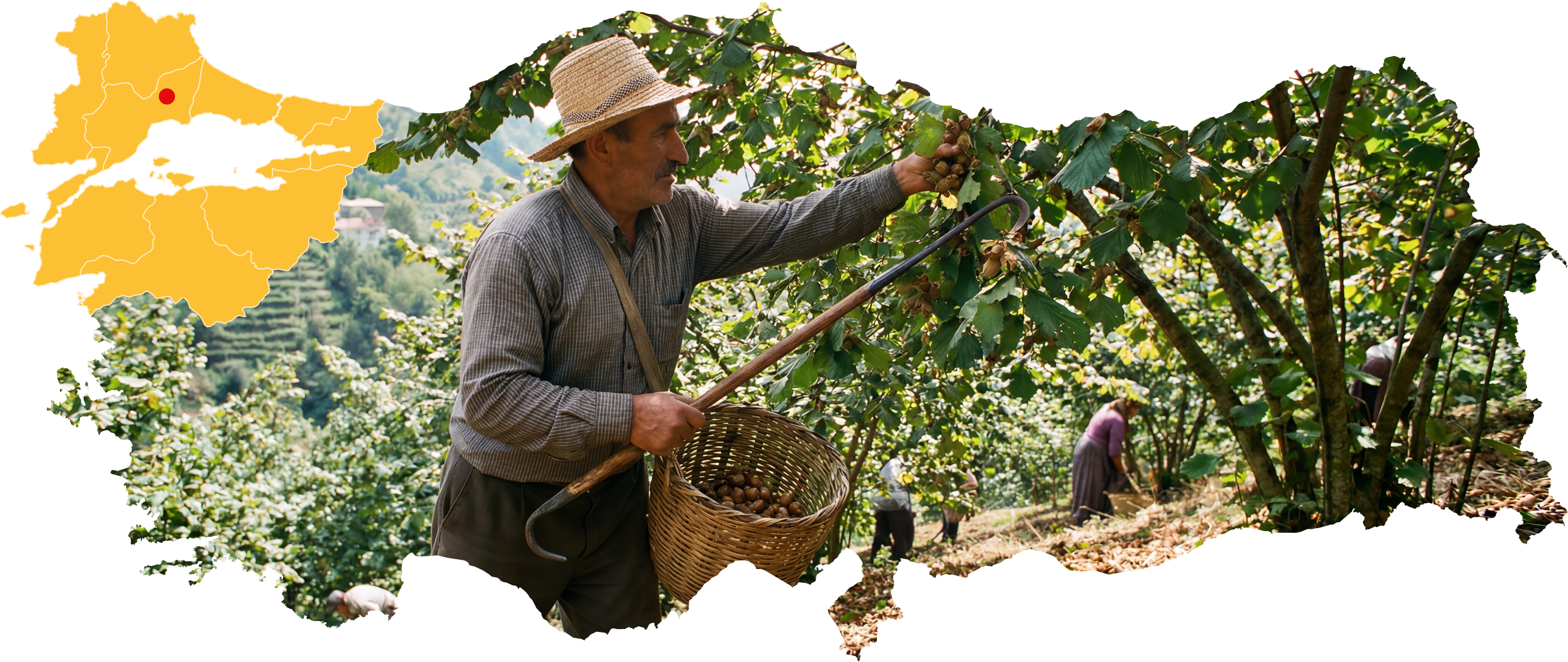Türkiye harita ve üretim görseli